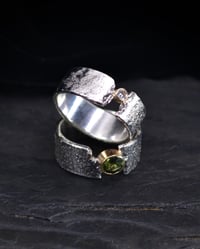 Image 1 of FISSURE RINGS - 8 & 8 3/4