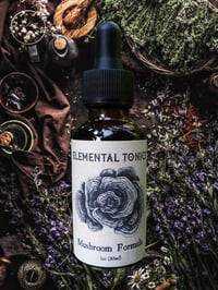 Image 1 of Mushroom Formula