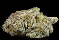 Image 1 of Purple Punch