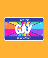 Image 1 of Single LGBTQ License Plates(Not to be use as official license plates).