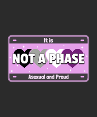 Image 7 of Single LGBTQ License Plates(Not to be use as official license plates).
