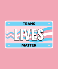 Image 11 of Single LGBTQ License Plates(Not to be use as official license plates).
