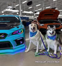 Image 2 of 15-21 WRX | 15-17 STI / WRX Limited Spec-D Tuning RGBW Converted Headlights