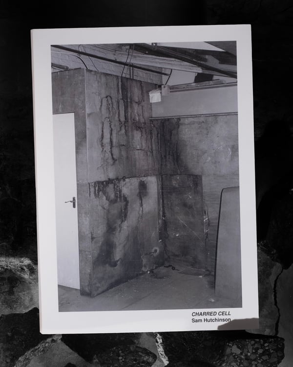 Image of Charred Cell