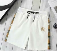 Image 1 of Blueberrys Shorts  (1:1)