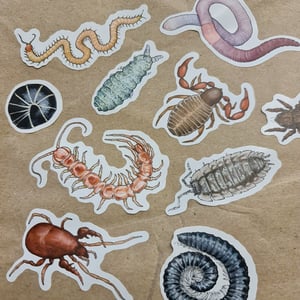Soil animals sticker sheet