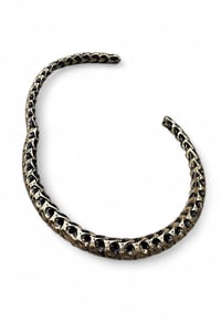 Image 9 of Golden Vertebrae Choker