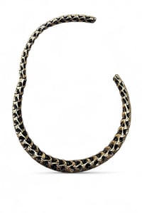Image 3 of Golden Vertebrae Choker