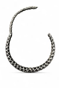Image 4 of Silver Vertebrae Choker