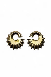 Image 4 of Golden Nirmata Earweights