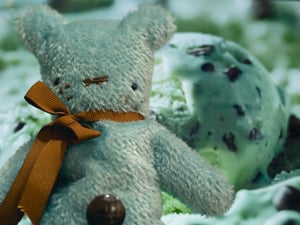 Image of Mint Chocolate
