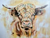 Highland Gaze
