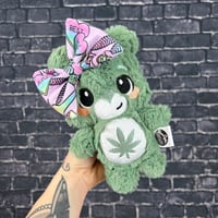 BITTY- Canna Bear #97