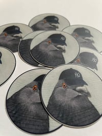 Image 2 of Bronx Pigeon Sticker