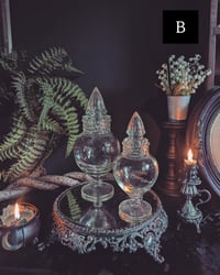 Image 4 of spike apothecary jar