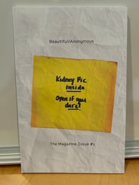 Beautiful/Anonymous Zine Color