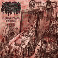 Mephitic Corpse ''Sickness Attracts Sickness'' - LP
