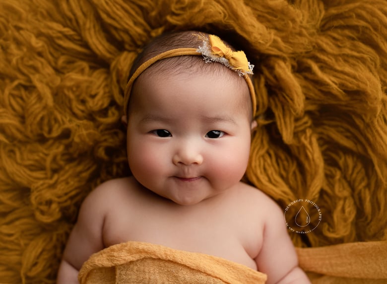 Image of Baby Milestone Session 4-12 months