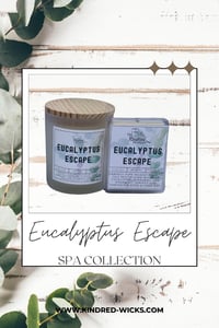 Image 2 of Eucalyptus Escape