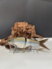 Image 1 of Biggs Custom Baits- Denali                         D2