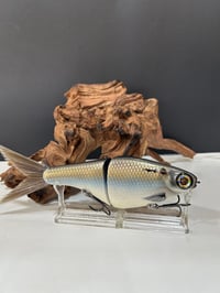 Image 3 of Biggs Custom Baits- Denali                         D2
