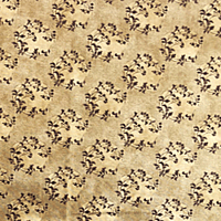 Image 2 of FLORAL TRAILS Forget Me Not-Tan by Barbara Brackman for Moda