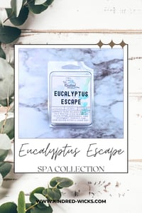 Eucalyptus Escape Wax Melts