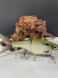 Image 3 of Biggs Custom Baits- Denali           D1