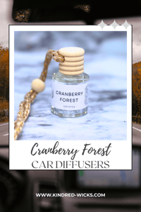 Cranberry Forest Car Diffuser