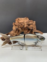 Image 3 of Biggs Custom Baits- Denali 