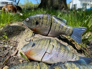 Image of 6” Ann ExtraSlowSink (Sweet Summertime)