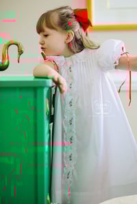 Image 11 of The Hollis Christmas Heirloom Collection