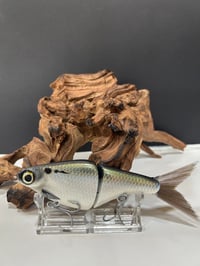 Image 1 of Biggs Custom Baits- B1 colorway #23