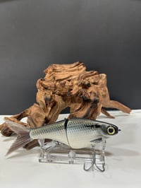 Image 3 of Biggs Custom Baits- B1 colorway #23