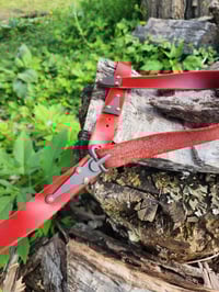 Image 3 of Germanic Belt Buckle