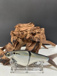 Image 1 of Bigs Custom Baits- B1      C