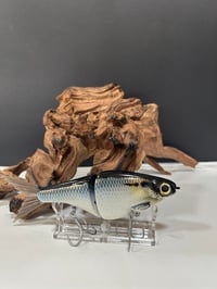 Image 1 of Biggs Custom Baits- B1      D