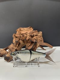 Image 3 of Biggs Custom Baits- B1      D
