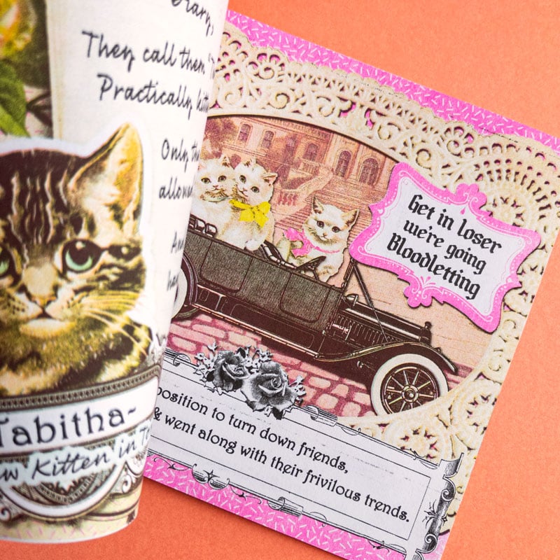 Mean Kittens | Riso Zines & Stickers Bundle | Cat Claw Studio