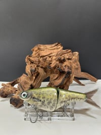 Image 1 of Biggs Custom Baits- BI   E