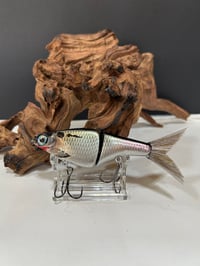 Image 2 of Biggs Custom Baits- Minnow A
