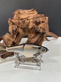 Image 1 of Biggs Custom Baits- Minnow    B