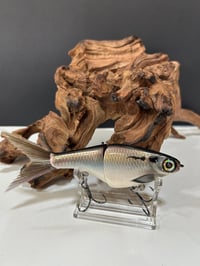 Image 3 of Biggs Custom Baits- Minnow    B