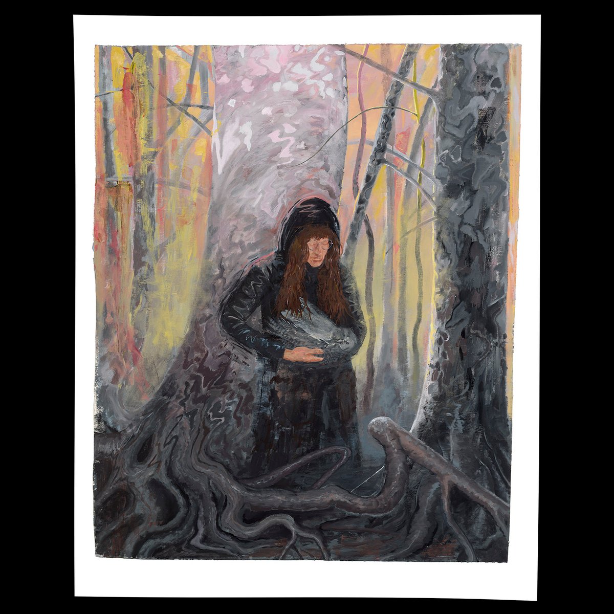 Image of stand of sycamores