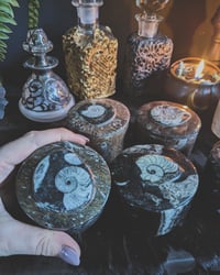 Image 3 of Fossil trinket boxes