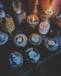 Image 2 of Fossil trinket boxes