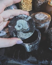 Image 5 of Fossil trinket boxes