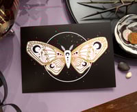 Image 1 of Black Moon White Moth | Copper Foil 5x7 Print