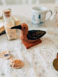 Image 1 of sam the seabird 
