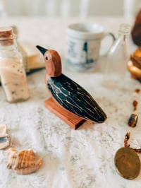 Image 2 of sam the seabird 
